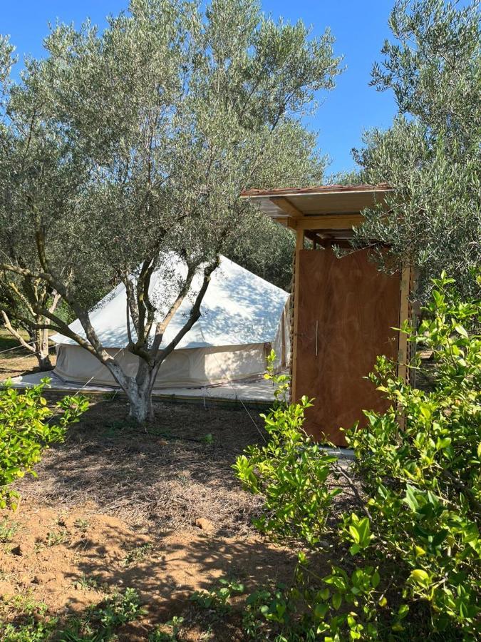 Eco Glamping With Pool Between Nafplio And Argos Exterior photo